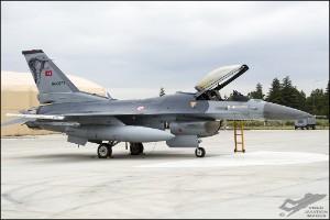 D7T_4046